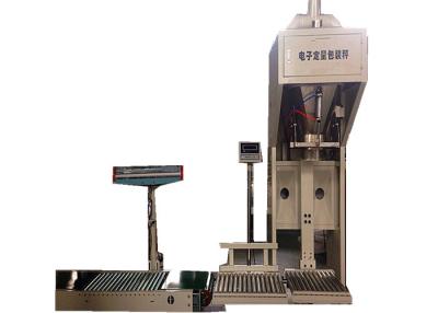 China Double Screw 15kg Powder Weighing And Filling Machine for sale