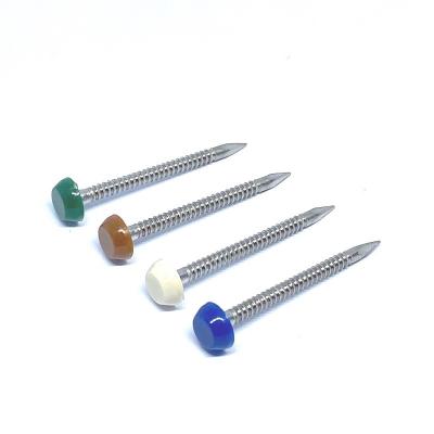 China 65mm Annular Stainless Ring Shank Nails With Plastic Head A4 Grade for sale