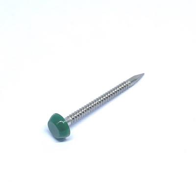 China Polished SS316 Plastic Round Cap Roofing Nails With Annular Ring Shank for sale