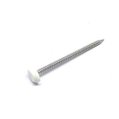China 50mm X 2.65mm Annular Ring Shank Plastic Cap Roofing Nails Stainless Steel A4 Grade for sale