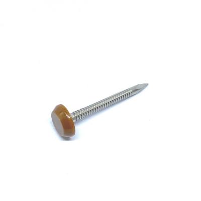 China A4 Stainless Steel Plastic Head Nails for sale