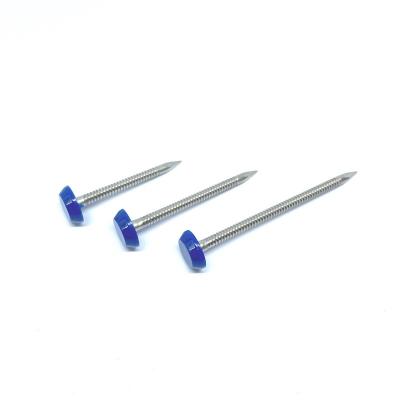 China 40mm SUS316 Ring Shank Plastic Cap Nails For Fixing Fascia And Soffit for sale
