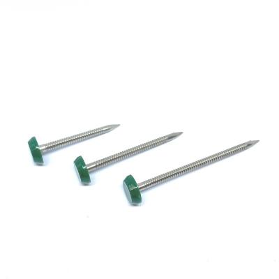 China OEM 65mm Plastic Head Nails , Outside Construction And Building Nails for sale