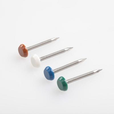 China A2 / A4 Polymer Headed Pins And Stainless Steel Nails With Colorfull Head for sale