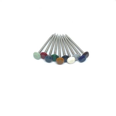 China A4 Stainless Steel UV Stable Plastic Head Nails Nylon PA6 Head for sale