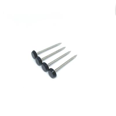 Chine Ring Shank Plastic Roofing Nails annulaire SS316 poli par 50MM à vendre