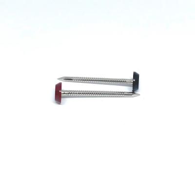 Chine Ring Shank Plastic Head Nails annulaire pour la toiture 3.0X50MM à vendre