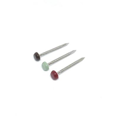 China Annular Ringed A4 Stainless Steel Plastic Head Pins For Construction Fixing for sale
