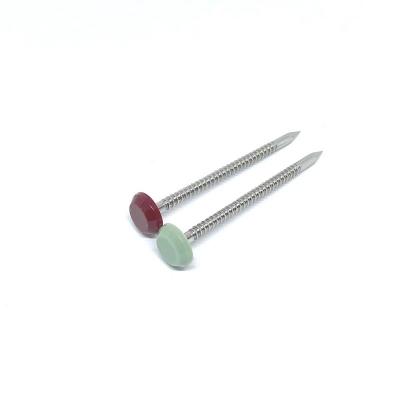 China 316 Stainless Steel Annular Ring Shank Plastic Head Nails For Fasia And Soffit for sale