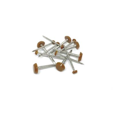 China Ral 8003 Brown Anti UV Plastic Head Pins & Nails For Roofing 2.0 / 3.0X40mm for sale