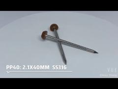 Stainless Steel Plastic Head Pin