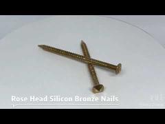 Silicon Bronze Nails