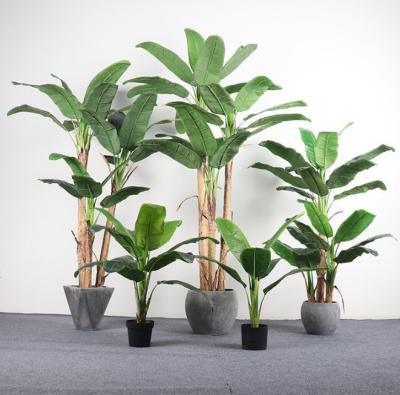 China Big Leaves Artificial Evergreen Leaves Japonica Floor Plants à venda