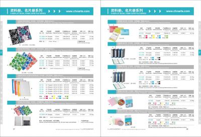 Chine dossier givré vert bleu de carte nominative du livre 0.45mm d'affichage de l'espace libre A4 d'articles de papeterie de bureau à vendre