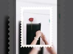 女神 単品 小さい花束 透明 防水 フィルム 包装 紙 花 素材 花屋