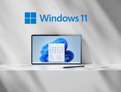 China Genuine Microsoft Windows 11 Pro 64 Bit / Windows 10 Product Key COA for sale
