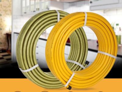 China Germany Technology Connecting Gas Cooker Flexible Hose DN10 for sale