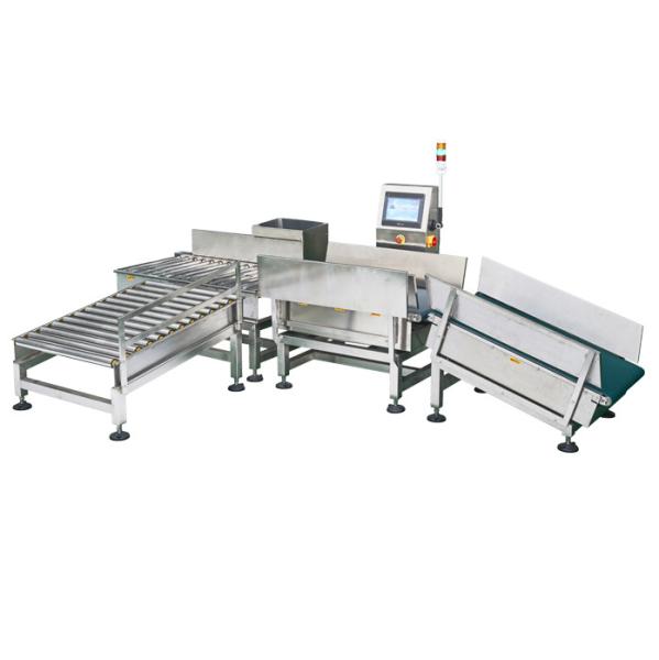 Stainless Steel Conveyor Weight Checker 110v / 220v With Reject System