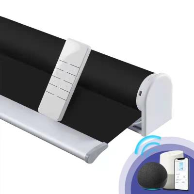 China Wifi Electric Smart Motorized Zebra Blinds Window Shade Automatic Roller Remote for sale