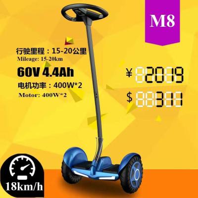 China 10 Inch Skywalker Segway 2 Wheel Self Balancing Scooter With Bluetooth for sale