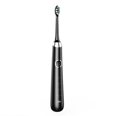 Cina 38000VPM/Min Vibrite Sonic Toothbrush, 3.7V Sonic Toothbrush astuto in vendita