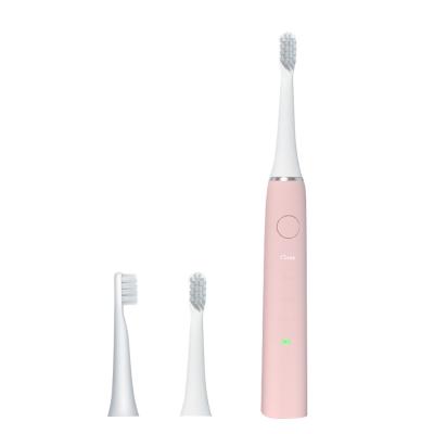 China Escova de dentes elétrica do curso do rosa para os adultos 3.7V 600mAh recarregáveis à venda