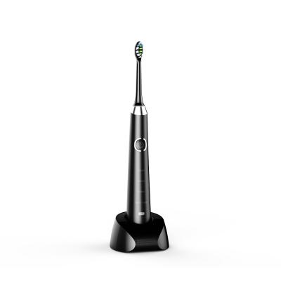 China 100-240V IPX7 Sonic Electric Toothbrush With Timer For Adults for sale
