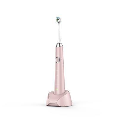 China 240V Sonic Electric Toothbrush for sale