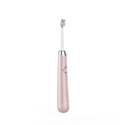 China IPX7 Ultrasonic Toothbrush Cleaner , 800mAh Battery Operated Travel Toothbrush for sale