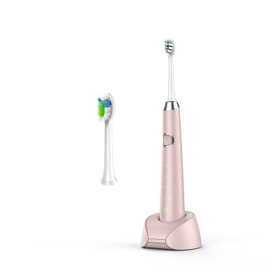 China 800mAh IPX7 Pink Battery Operated Electric Toothbrush For Teeth Whitening for sale