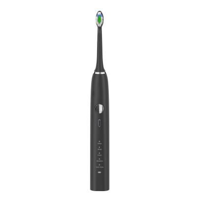China 16-24 Stunden Sonic Battery Toothbrush-weiß werden, Hanasco tragbarer Sonic Toothbrush zu verkaufen