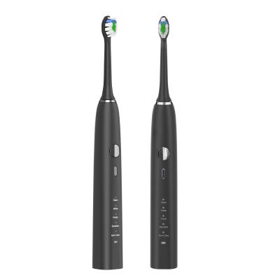 Chine brosse à dents de blanchiment électrique de 2000mAh IPX8, brosse à dents électrique de noir de Hanasco à vendre