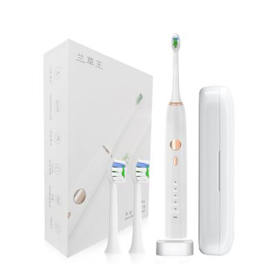 Cina spazzolino da denti elettrico impermeabile 2000mAh in vendita