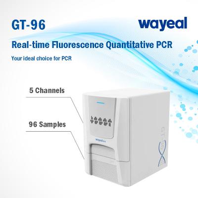 Китай Быстрый испытывая анализатор 96 Wells PCR флуоресцирования в реальном времени количественный 5 каналов продается