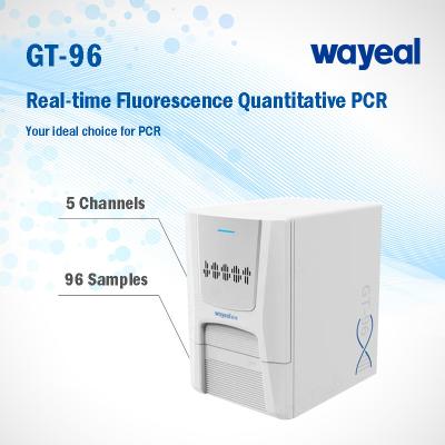 Chine Real Time Lab Fluorescence Quantitative PCR Analyzer For Nucleic Acid Test à vendre