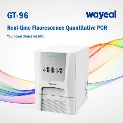 China Wayeal Clinical Medical Real Time Pcr Analyzer For Nucleic Acids Testing for sale