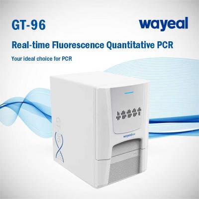 China Wayeal 96 Wells 5 canaliza el analizador de la polimerización en cadena para Gene Test en venta