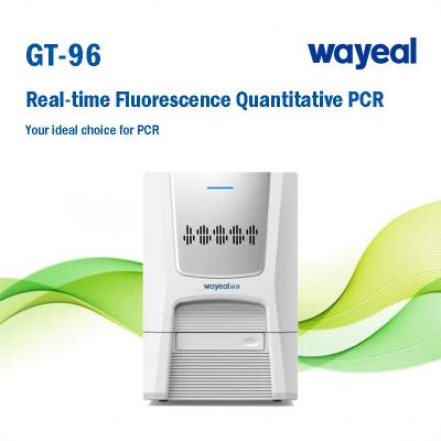 China Analisador nucleico do PCR da detecção do tempo real de Wells dos testes ácidos 96 do Ce totalmente automático à venda