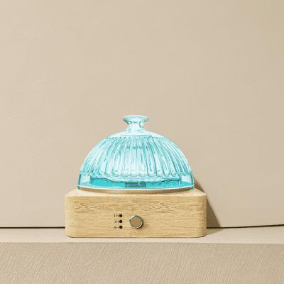 China 200 MLGlass Essential Oil Diffuser▕ DN-839 for sale