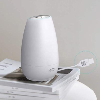 China Usb Household Double Switch Air Purifying  Aroma Diffuser for sale