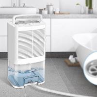 Quality Removable Water Tank Portable Domestic Dehumidifier for sale