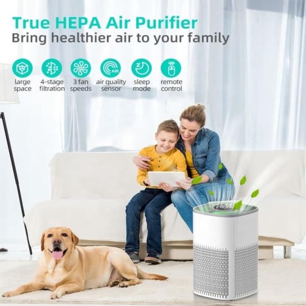 Quality Home Smart Wifi Hepa Filter Air Purifier for sale