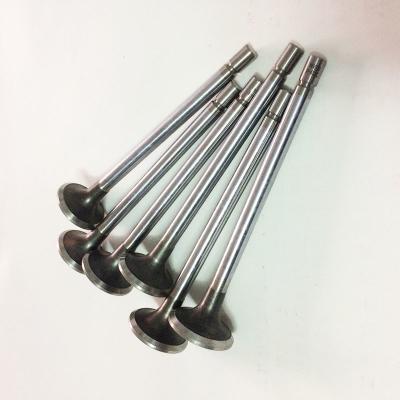 China Diesel Valve Train Engine Intake Valve And Exhaust Valve E13 E15 for sale