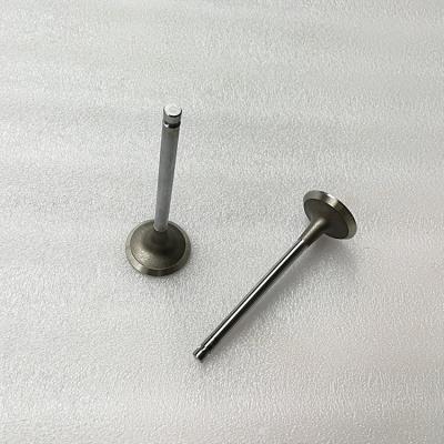 China Silvery & Black Diesel Engine Valve SD23 Race Forged Inlet Exhaust Engine Valve 13201-L2000 13202-L2000 for sale