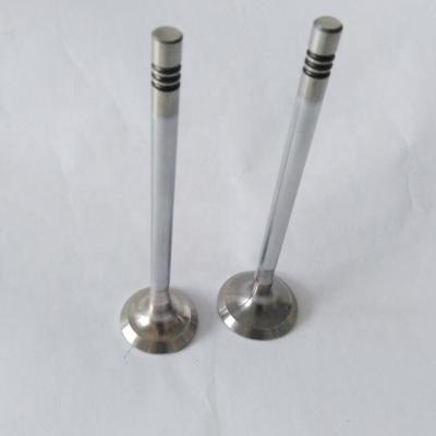 China Engine Intake Exhaust Valve 4D0 Race Forged Engine Valves 30604-00100 30604-01101 for sale