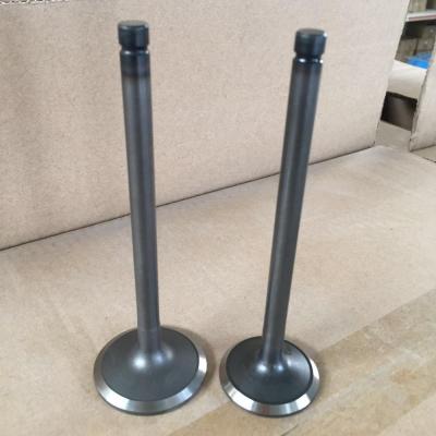 China Automobile Engine Valve B13 GA16  Intake Exhaust Valve For Nissan 13201-53Y00 13202-53Y00 for sale