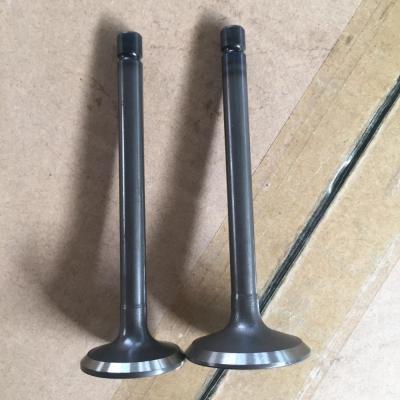 China Car Auto Parts Diesel Engine Valve  DB31 6DB 8D8  Truck Accessories for sale