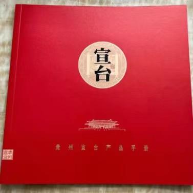 China Business Softcover Custom Paperback Book Printing CS CMYK Binding Soft Cover Te koop