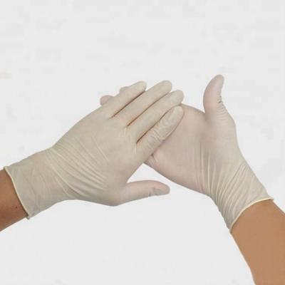 China Biodegradable 20x40cm Disposable Exam Gloves High Strength Powder Free for sale