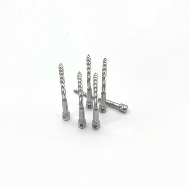 Stainless steel cross double hole screws for anti-tampering installation of electric meters
